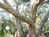 Shelly and Michael 2013