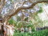 Shelly and Michael 2013